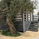 Appartement Olive House Pirovac