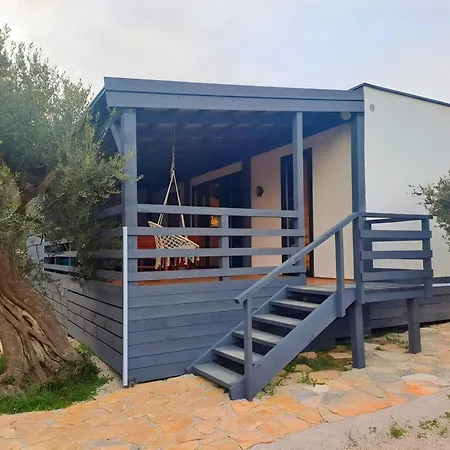 Olive House *