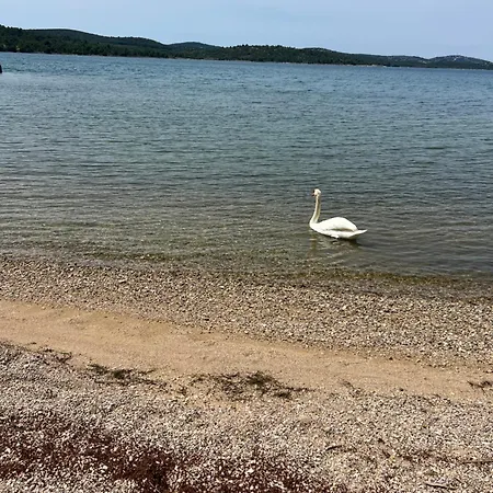 Apartmán Olive House *