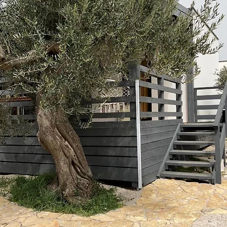 Appartement Olive House Pirovac