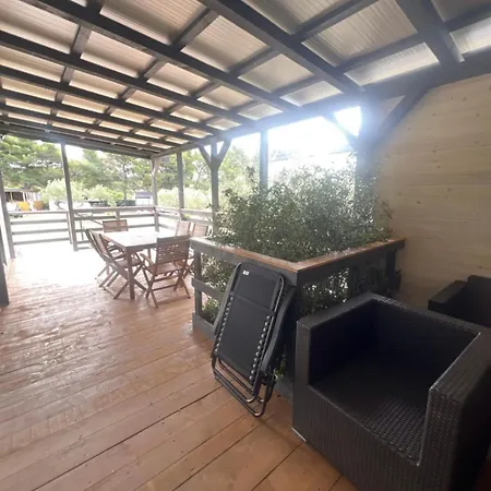 Olive House