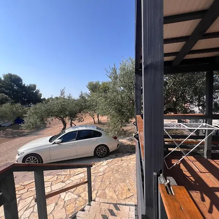 Appartement Olive House *