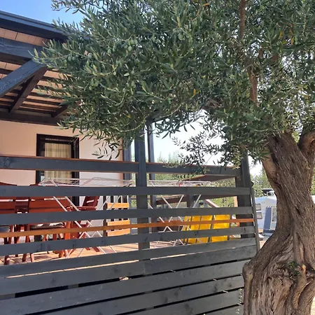 Olive House Appartement Pirovac